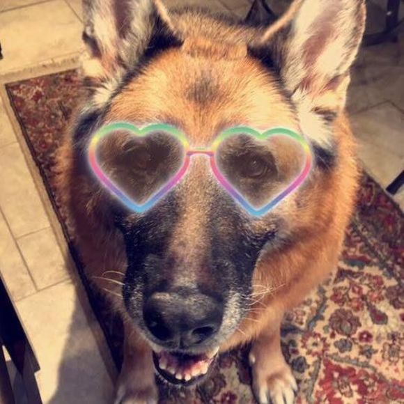 Meet your Posher, Debbie - Picture 1 of 1